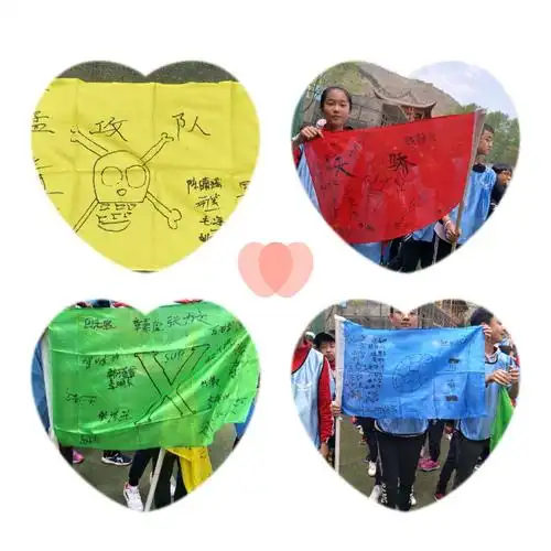 我们的小队队旗.