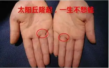 手掌丰富且有弹性的汉子财气较好,他们的财气奇迹根底好,爱动脑,肯