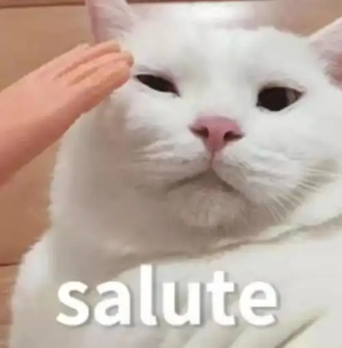 案例分析目标坚定的经济学狂人他为热爱发电强势收割万奖