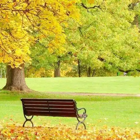 美美的视觉享受美景微信头像适合中老年人的头像