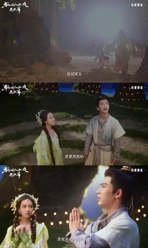 陈都灵张凌赫狐妖采访