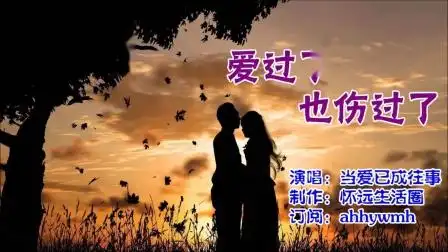爱过了也伤过了(演唱:当爱已成往事)