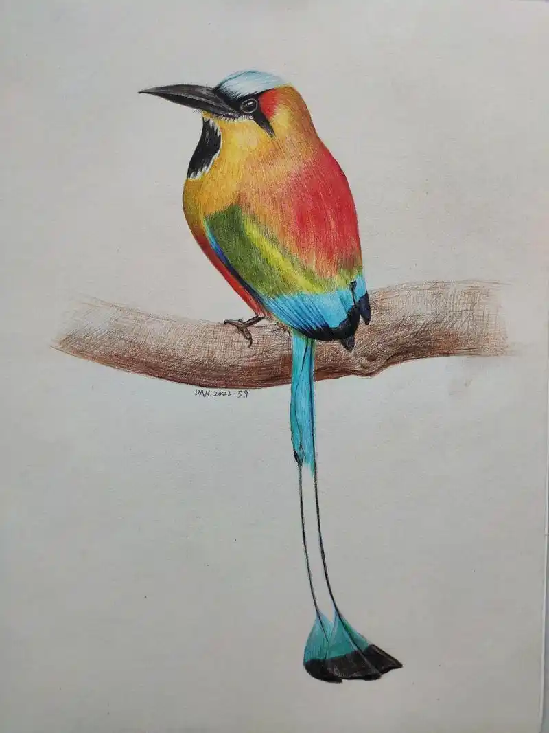 今日画画打卡 #彩铅画 #彩铅手绘 #辉柏嘉水溶性彩铅   - 抖音