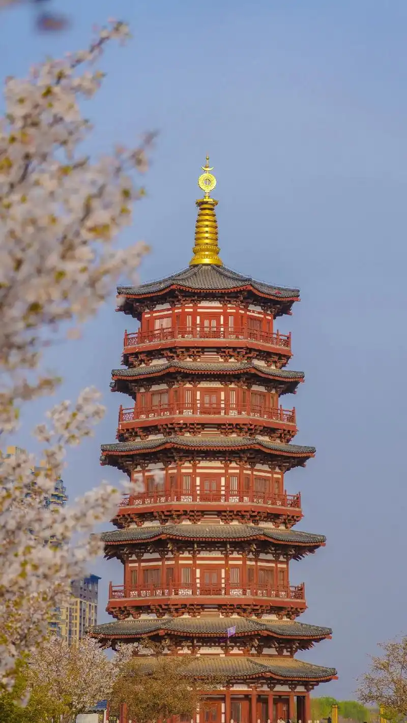 洛阳朱樱塔-漫天的惊喜 春天的浪漫94.3月的朱樱塔超级漂亮 - 抖音