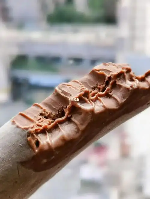 每天认识一款5元以下的雪糕|第②⑤【港湾码头 生巧】904果然评论区