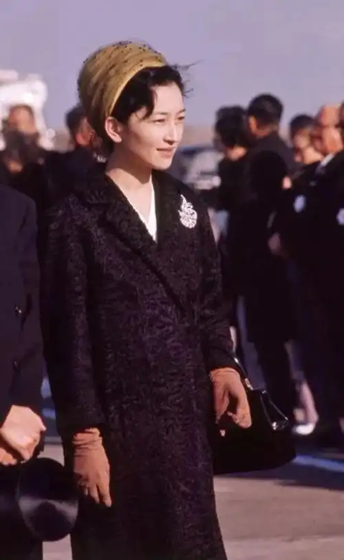 超美皇太子妃被恶毒皇后虐到失语揭露日本皇室后宫的秘密灰姑娘与王子