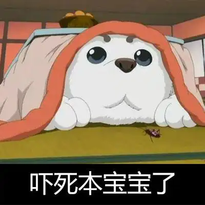 吓死宝宝了gif银魂gif动漫gif萌宠gif