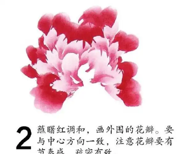 怎样画国画牡丹教程