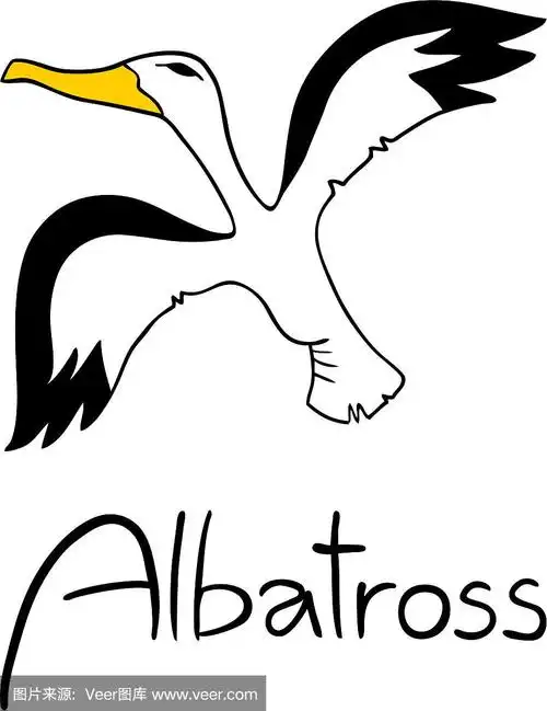 信天翁,分离着色,白色,自然,矢量