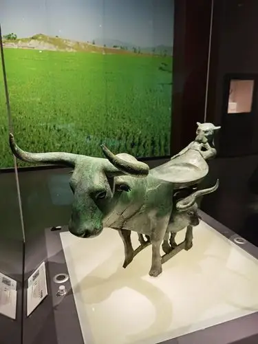 悠悠云南行第三十八天～昆明观云南博物馆晚上逛斗南花卉市场