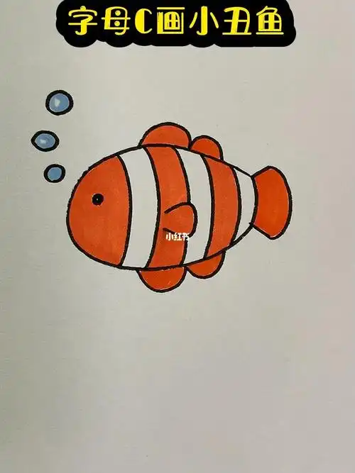 字母c画小丑鱼