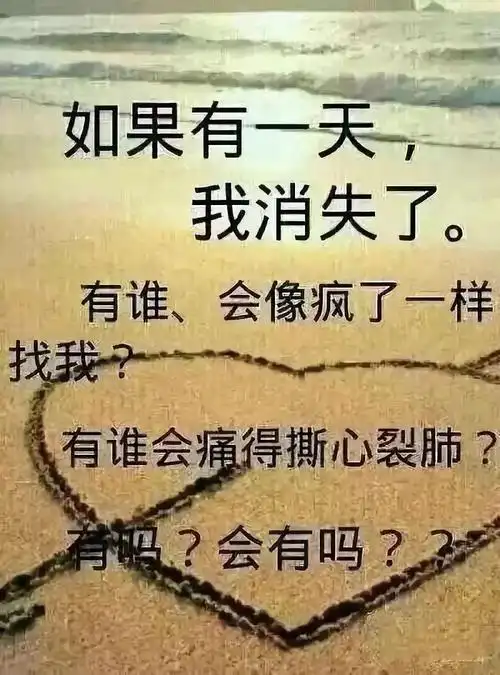 如果有一天我消失了有谁会像疯了一样找我
