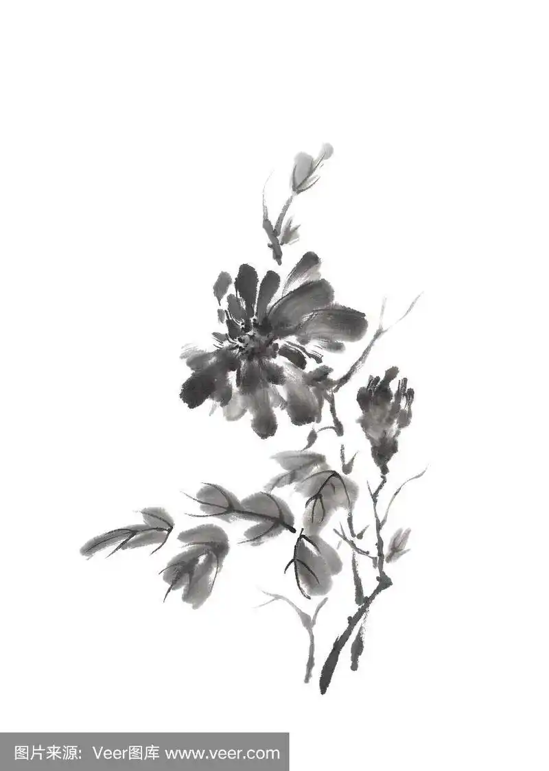 日本式原隅菊枝水墨画.