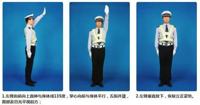 第三十一条 交通警察的指挥分为:手势信号和使用器具的交通指挥信号.