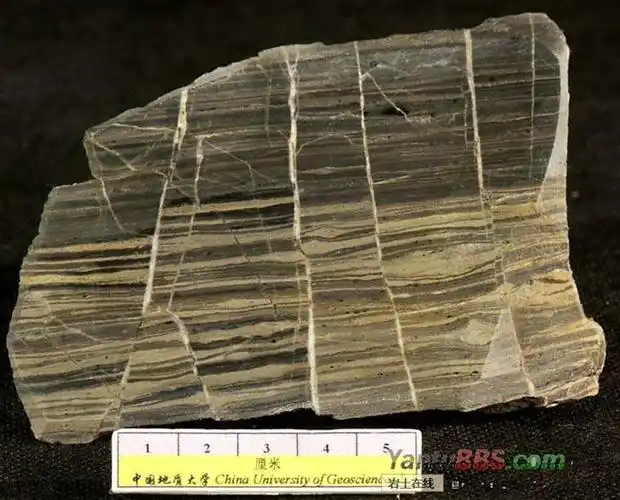 典型岩石的构造形态(附图)(五)