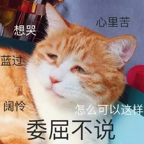 委屈不说gif猫咪gif想哭gif难过gif