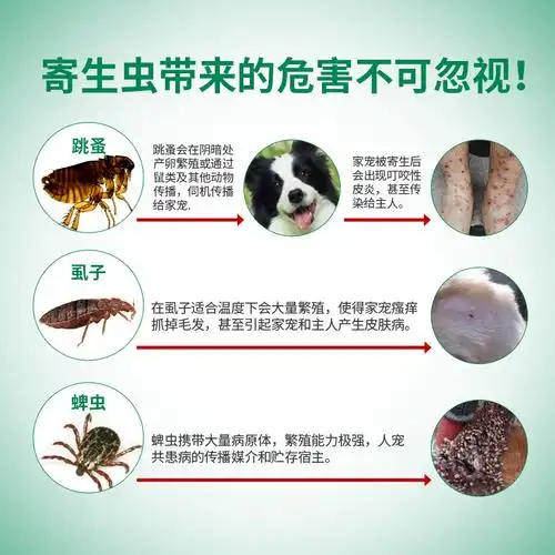 福来恩体外驱虫虫药狗狗宠物虱子蜱虫中型犬用滴猫