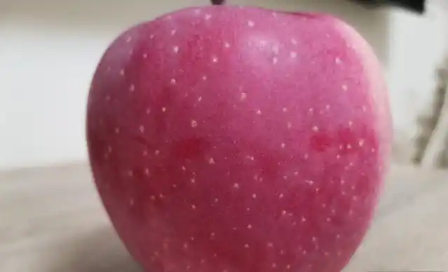 红玫瑰苹果要削皮吃吗