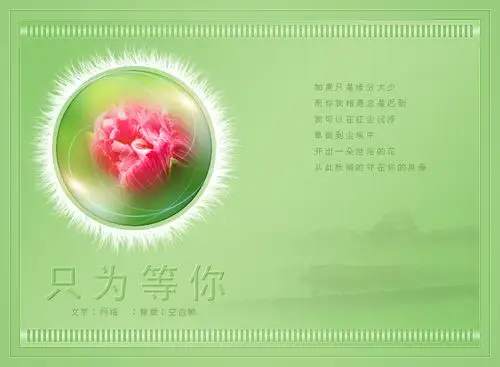 《只为等你》图文视频教程