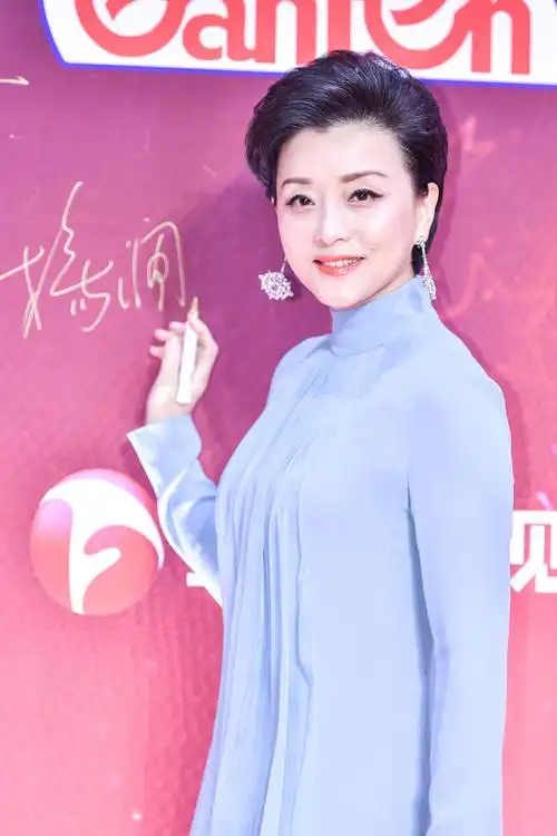 回顾杨澜我与老公早已无爱若再在一起对彼此都是很不公正的