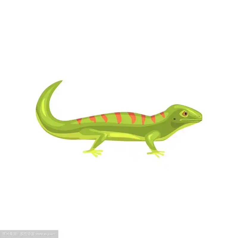 蜥蜴两栖动物卡通