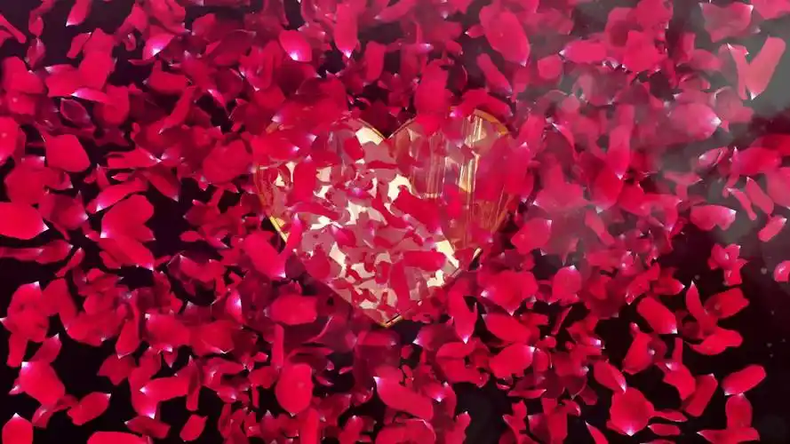 玫瑰花飘落婚礼相册