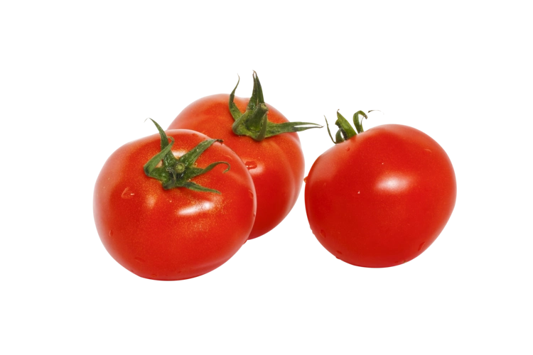 夏季新鲜蔬菜西红柿组合图片