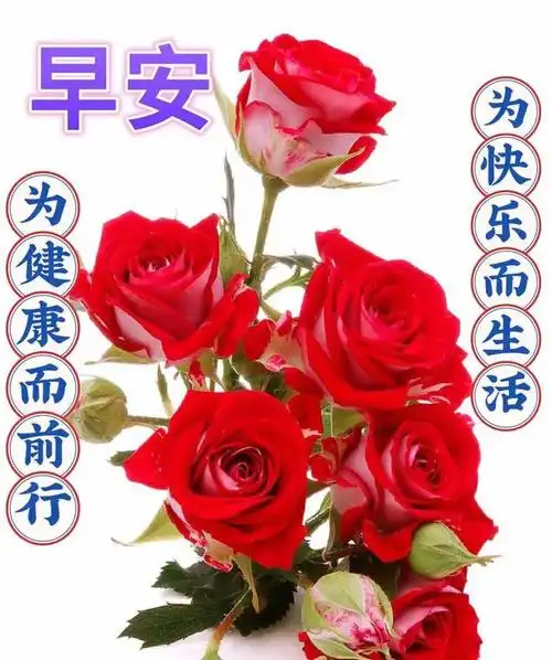 8月28日周一早上好最新版唯美祝福语图片问候语大全愿新周愉快早安