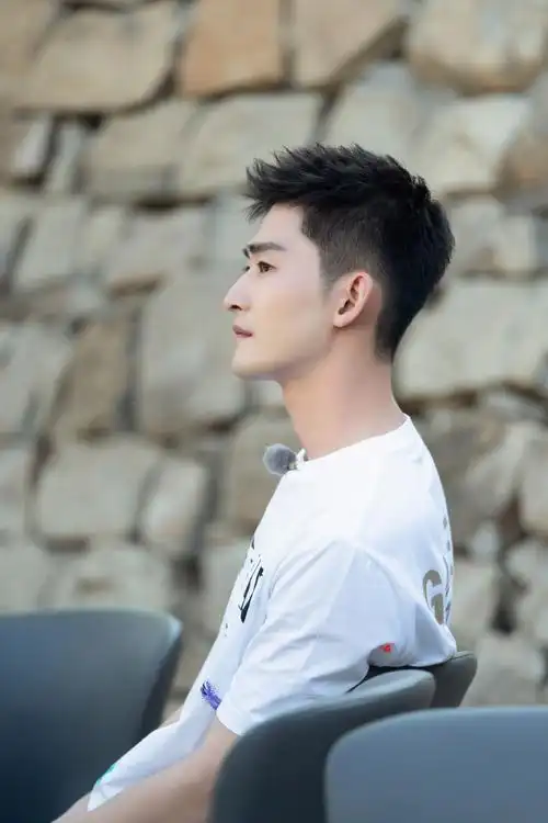 张翰花儿与少年