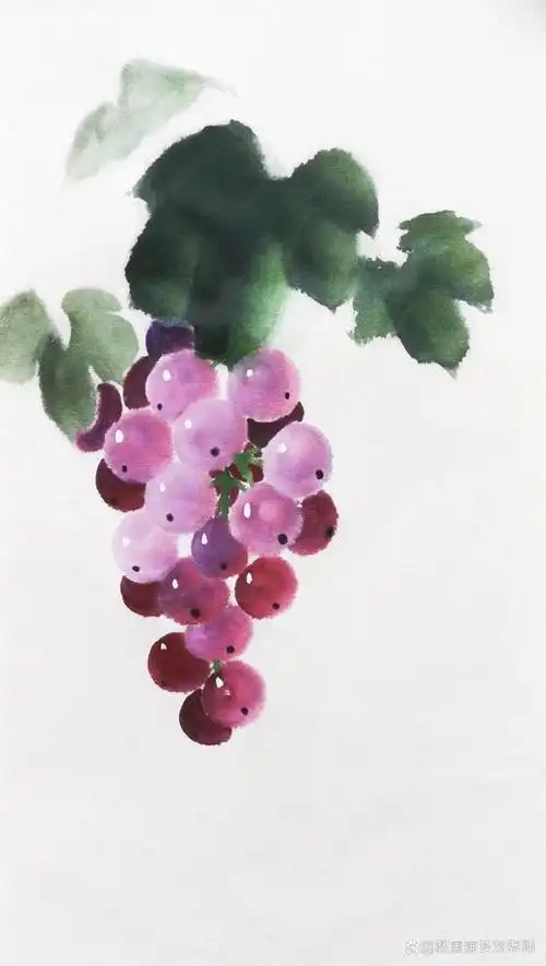 国画教程写意葡萄的画法