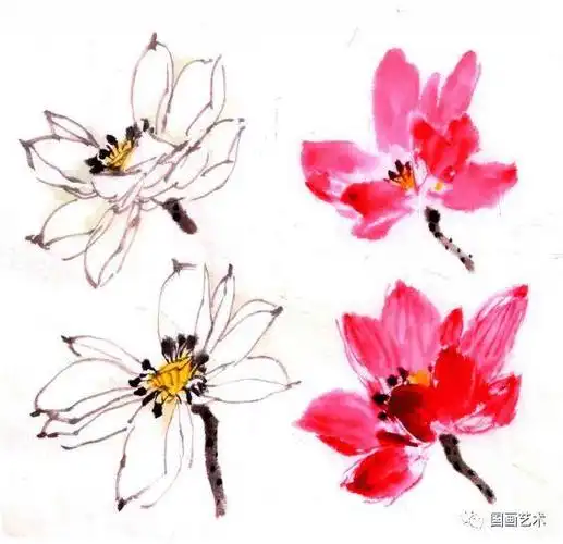 写意荷花画法步骤写意花鸟画教程之荷叶的画法