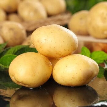 采缇湖北恩施富硒黄心小土豆新鲜迷你高山小洋芋马铃薯500g中果约鸡蛋