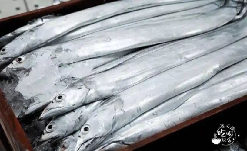 带鱼4鲳鱼3东方对虾2虾婆(皮皮虾)1当然,大港城的肥美海鲜可不止这一