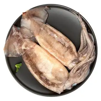 水鲜缘 冷冻整条鱿鱼2条(去内脏)260g*1袋