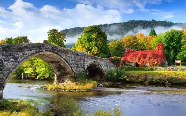 的属蛇人,天生的"富翁命",看看你家有吗|生肖蛇|事业运|好运_网易订阅