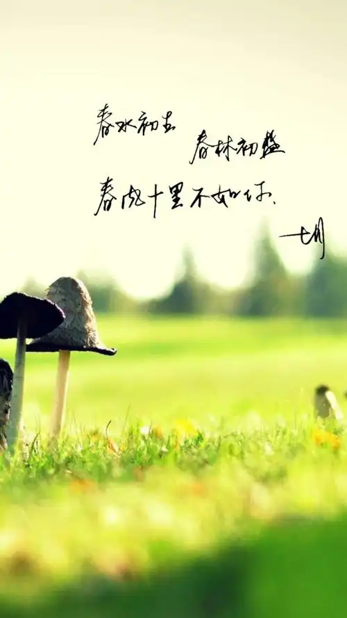 手写 明信片 高清 暖心语录 练字 书法 唯美 文艺 文字 句子 文字控