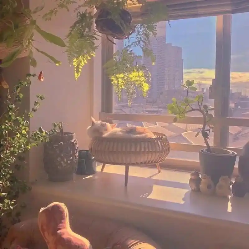 朋友圈封面背景图‖治愈.可爱