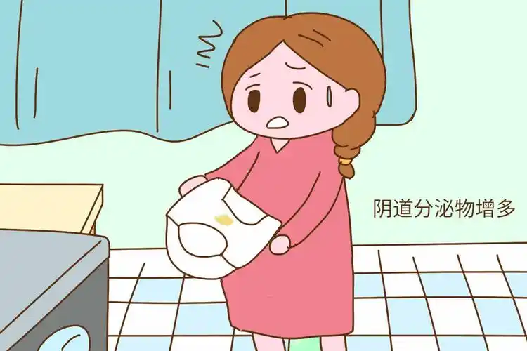 阴道分泌物增多孕期本来分泌物就比较多,但是如果到孕晚期发现阴道