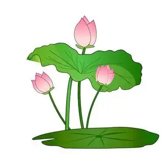 荷花莲花夏季节气2000x2697dpi300psd模版下载