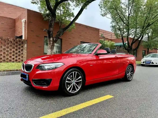 宝马 宝马2系  2018款 220i 敞篷轿跑车 运动设计套装图片