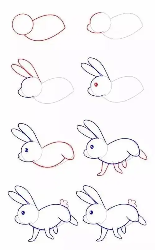 小兔子小兔子简笔画步骤教程,小兔子简笔画教程兔子的简笔画 兔子的简
