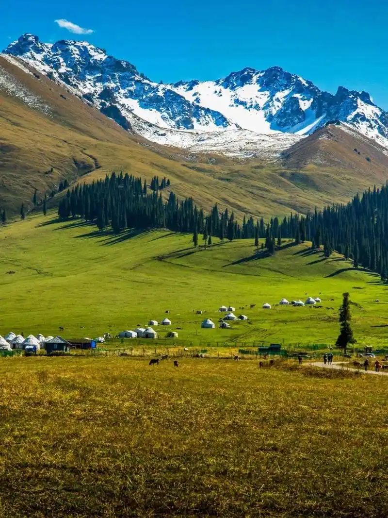 就错过新疆一半的美 那拉提草原是世界四大亚高山草甸植物区草原之一