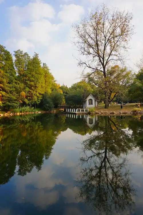 秋韵 - 共青森林公园随摄