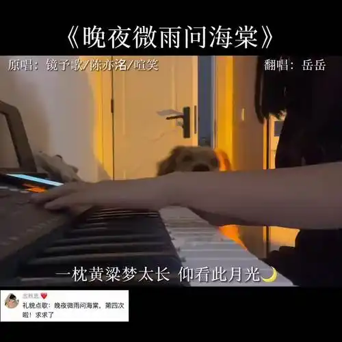 晚夜微雨问海棠什么意思,晚夜微雨问海棠这首歌什么意思