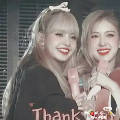 炒鸡好康的blackpink四人闺蜜头像呐