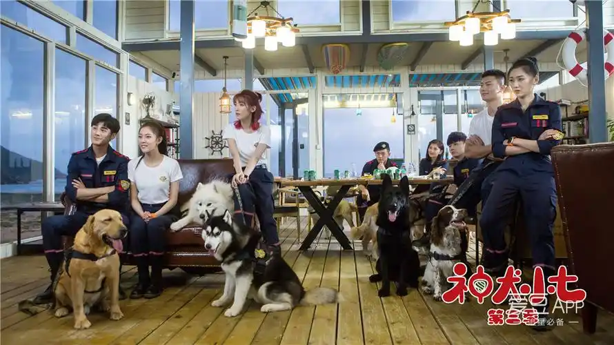 消息神犬小七第三季曝拍摄花絮放福利众主演颜值爆表引粉丝尖叫