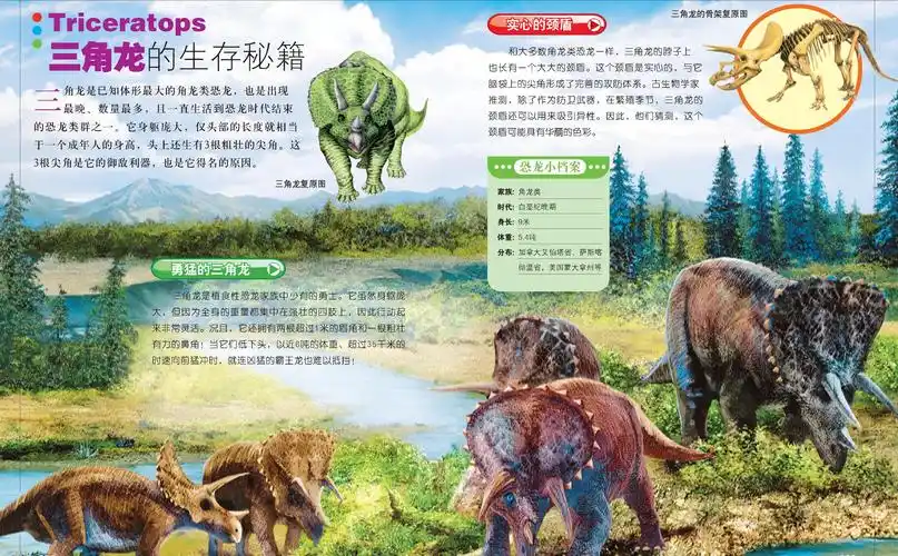 三角龙的生存秘籍