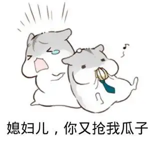 媳妇儿,你又抢我瓜子表情包 - 表情图