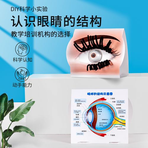 科学实验小制作认识眼睛模型拼装diy手工教材料幼儿园小学生教具