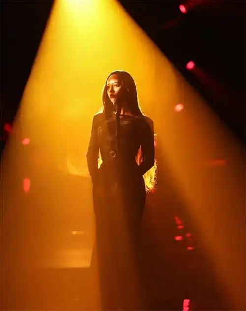 如果说两场下来,那英的演绎还算有"本钱"支撑,杨丞琳,汪苏泷等人则